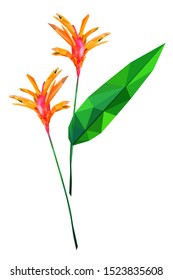 Blooming red and orange bird of paradise  flower with green leaves low polygonal design