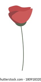 Blooming red poppy flower flat illustration. Memorial anniversary holiday. Can be used for topics like war remembrance day symbol, spring, agriculture, gardening, botany