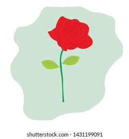 A blooming red rose with blue background