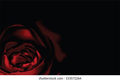 Blooming Red Rose Flower background. Love, romance and Valentine greeting holiday card, vector