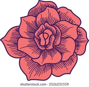 Blooming a Red Rose flower vintage engraving hand drawn. Isolated vector illustration