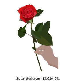 Blooming red rose in hand, vector flat isolated illustration. Beautiful flower for greeting card, invitation, poster, banner.