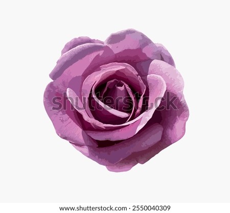 Similar – Image, Stock Photo Flowering lilac in double exposure