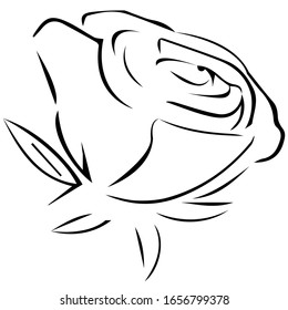 Blooming rose. Beautiful flower. The stylized rose.