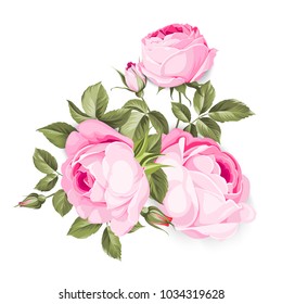 The Blooming Rose with couple of small flowers. Botanical vector illustration. Awesome single flower bouquet. Vector illustration.