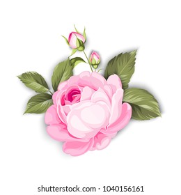 The Blooming Rose with a couple of small flowers. Botanical vector illustration. Awesome single flower bouquet. Vector illustration.
