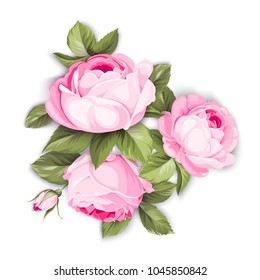 The Blooming Rose with couple of small flowers. Botanical vector illustration. Awesome single flower bouquet. Vector illustration.