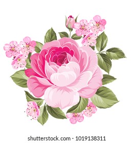 The Blooming Rose with couple of small sakura flowers. Botanical vector illustration. Awesome single flower.