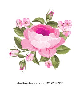 The Blooming Rose with couple of small sakura flowers. Botanical vector illustration. Awesome single flower.