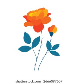 blooming rose flower design element