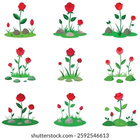 Blooming rose flowers bundle vector illustration among the green grass and stone on a white background.