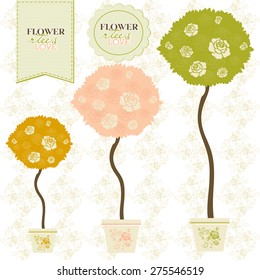 Blooming rose flowers crowns of ornamental trees.
