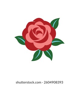 a blooming rose with layered petals.