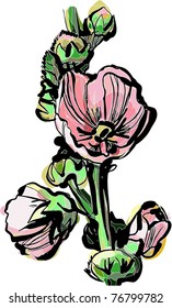 blooming rose mallow branch