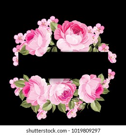 The Blooming Rose with text space over black background. Botanical vector illustration. Awesome single flower.