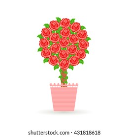 Blooming rose tree in pink pot. Vector illustration. 