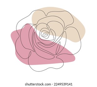 a blooming rose,hand drawn, continuous mono line, one line art