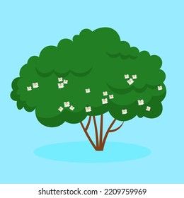 blooming rosehip bush on a blue background