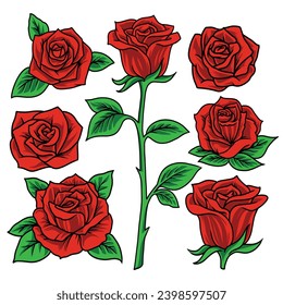 blooming roses in detailed vector style