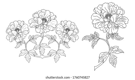 rosas florecientes tres bichos y uno
