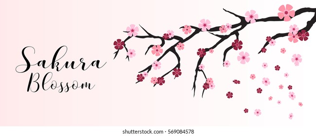 Blooming sakura branch with many tiny cute flowers. Japanese traditional cherry tree, wide vector illustration.