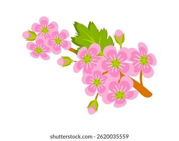 Blooming sakura branch with pink flowers and green leaves is growing