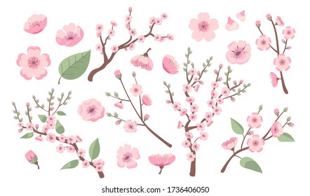 Blooming sakura branches. Apple, almond, peach or cherry tree blossoms, twigs with pink flowers. Vector illustration for spring in Asia, decoration, nature, park topics