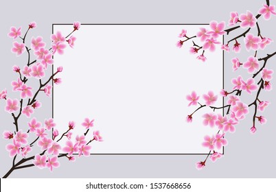 Blooming sakura branches with frame for text with blank and empty space. Design concept of blooming spring japanese sakura for banner and greeting card. Realistic vector illustration of sakura.