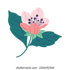 Blühende sakura flache Ikone Frühlingsdekorative Baum. Vektorgrafik