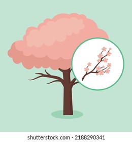 blooming sakura tree on blue background
