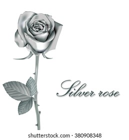 Blooming silver Flower Rose object. Love, romance and Valentine greeting card, Isolated on white, vector