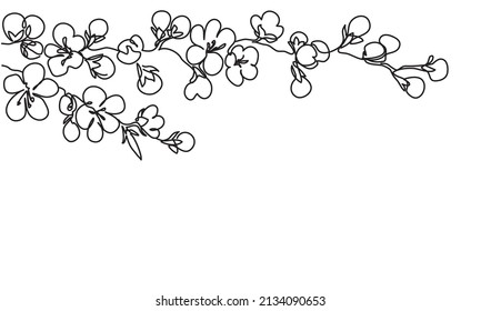 Blooming Spring Branch. Horizontal Branch Of Cherry Blossom. Spring Floral Abstract Nature Background. Vector Sketch. Line Drawing