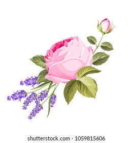 Blooming spring flowers garland of purple roses and violet lavender. Label with rose and lavender flowers. Vector illustration.