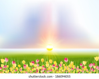 Blooming spring flowers tulips in the sunlight. And also includes EPS 10 vector