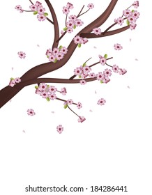 Blooming spring pink cherry blossom, sakura tree.