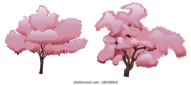 Blooming spring pink cherry blossom, sakura tree.