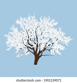 Blooming spring tree. Fruit tree in spring. Vector illustration