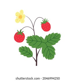 Vector de fresas dibujado a mano