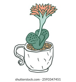 blooming succulent litops in a vintage teacup, with vibrant coral flowers and green leaves on pebbles. Ideal for stickers, posters, greeting cards, or gardening-themed designs.