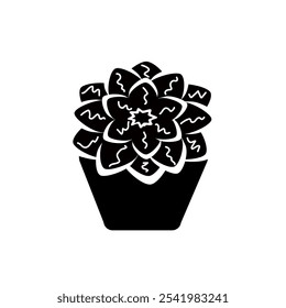 Blooming succulent of round shape in a pot. Vector black and white illustration