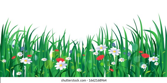 Blooming summer flowers with green grass vector illustration. Red and purple chamomile on meadow cartoon style design. Summertime concept. Isolated on white background