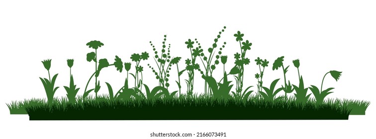 Blooming summer meadow. Dense grass and wildflowers. Rural landscape. Fun cartoon style. Isolated on white background. Vector.