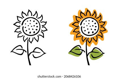 Blooming sunflower – hand drawn stylized vector illustration. Black and white and colored versions, isolated on white.