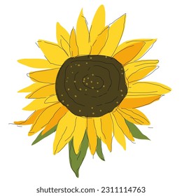 blooming sunflower like a beautiful flower