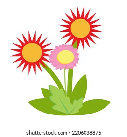 blooming sunflower vector digital illustration image