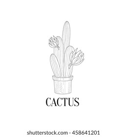 Blooming Tall Cactus In Pot Hand Drawn Realistic Sketch