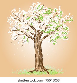 Blooming tree