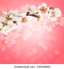 Blooming tree branch with pink flowers on bokeh background. Vector