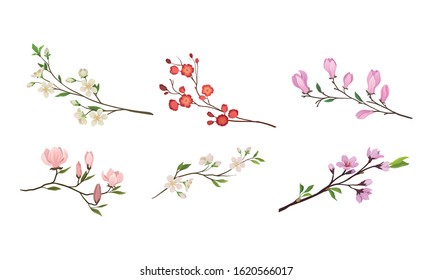 Blooming Tree Branches and Twigs with Tender Flower Buds Vector Set