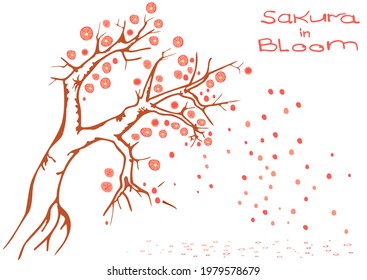 Blooming tree. Cherry in bloom. Flower petals fall to the ground. In color